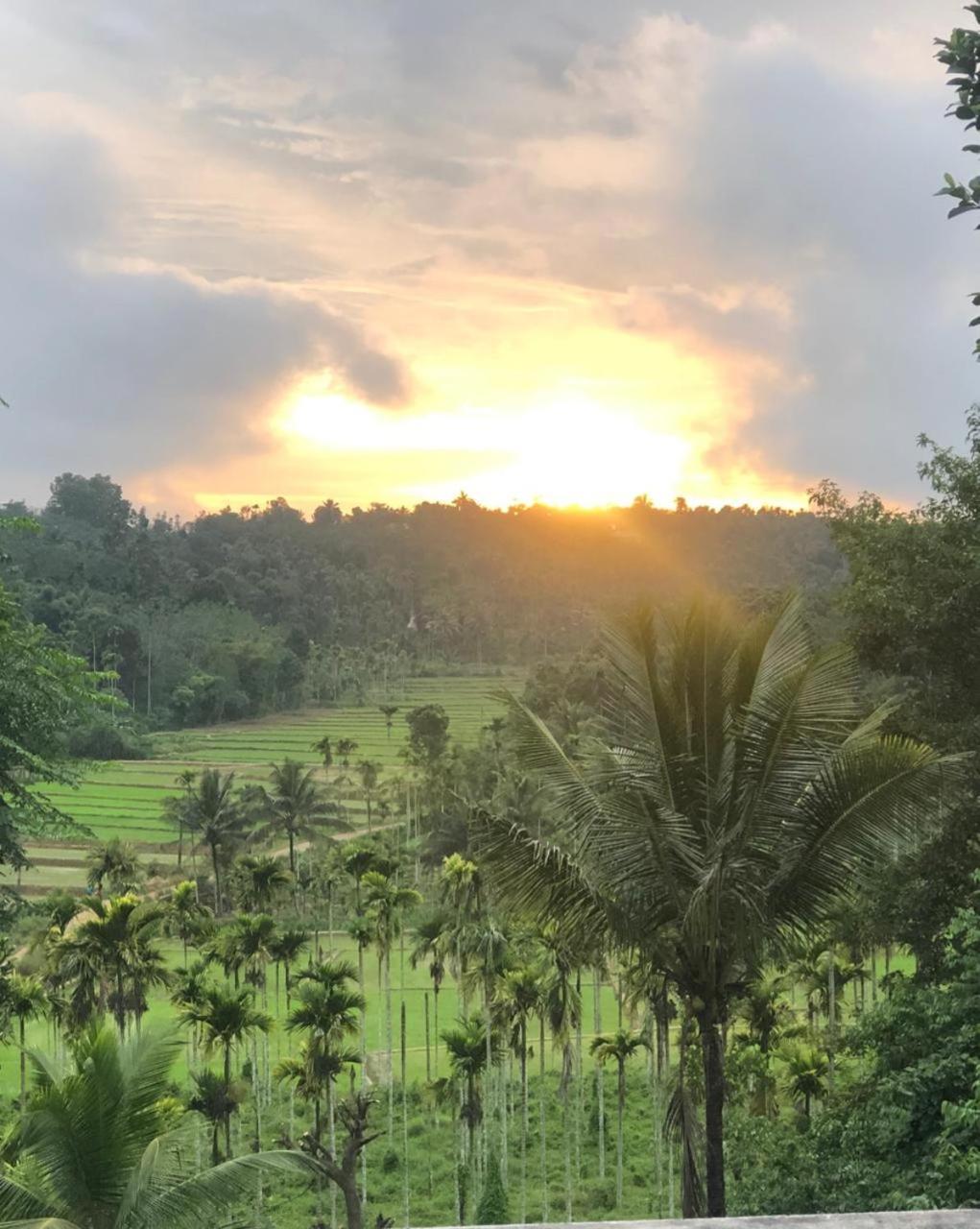 Angels Nest Home Stay 2 Acra Private Plantation Mountain Area Balconey Sunrice View Nearby Ngarhole Wild Life , Tholpetty Wild Life , Pakshipathalam Bird Santuary , Kuruva Island # Thirunelly & Thrissilery Temple Near By Secure Stay Wayanad Kerala Chegāt Exteriör bild