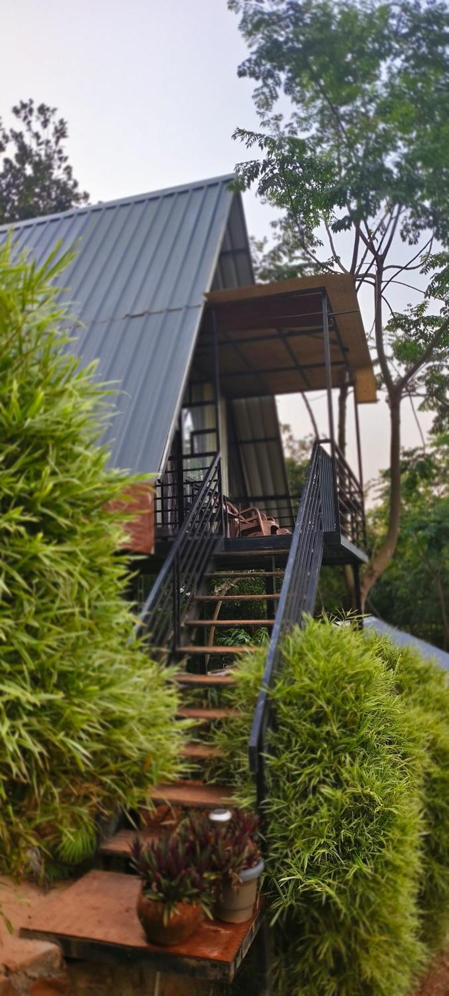 Angels Nest Home Stay 2 Acra Private Plantation Mountain Area Balconey Sunrice View Nearby Ngarhole Wild Life , Tholpetty Wild Life , Pakshipathalam Bird Santuary , Kuruva Island # Thirunelly & Thrissilery Temple Near By Secure Stay Wayanad Kerala Chegāt Exteriör bild