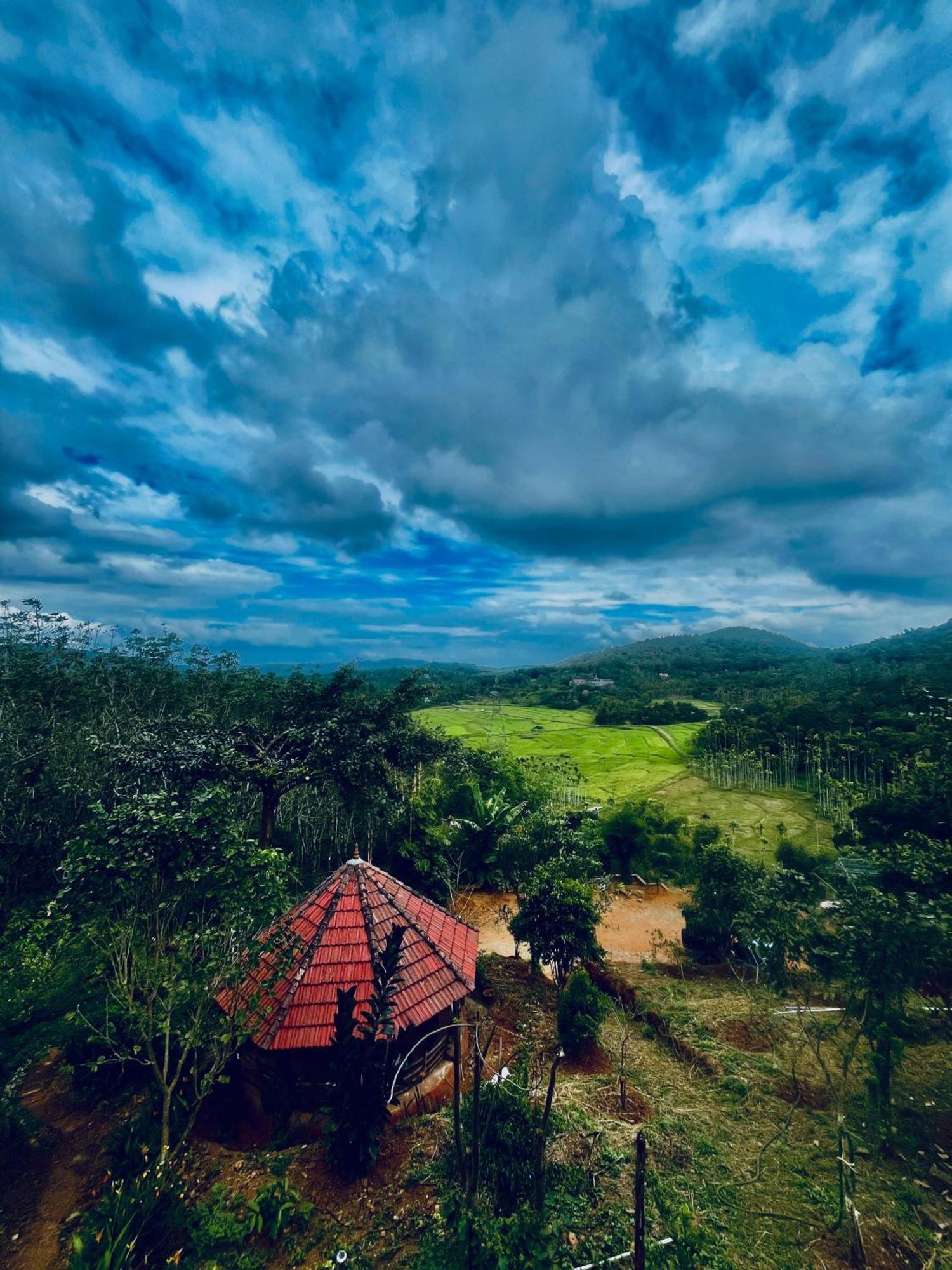 Angels Nest Home Stay 2 Acra Private Plantation Mountain Area Balconey Sunrice View Nearby Ngarhole Wild Life , Tholpetty Wild Life , Pakshipathalam Bird Santuary , Kuruva Island # Thirunelly & Thrissilery Temple Near By Secure Stay Wayanad Kerala Chegāt Exteriör bild